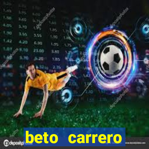 beto carrero cidades proximas